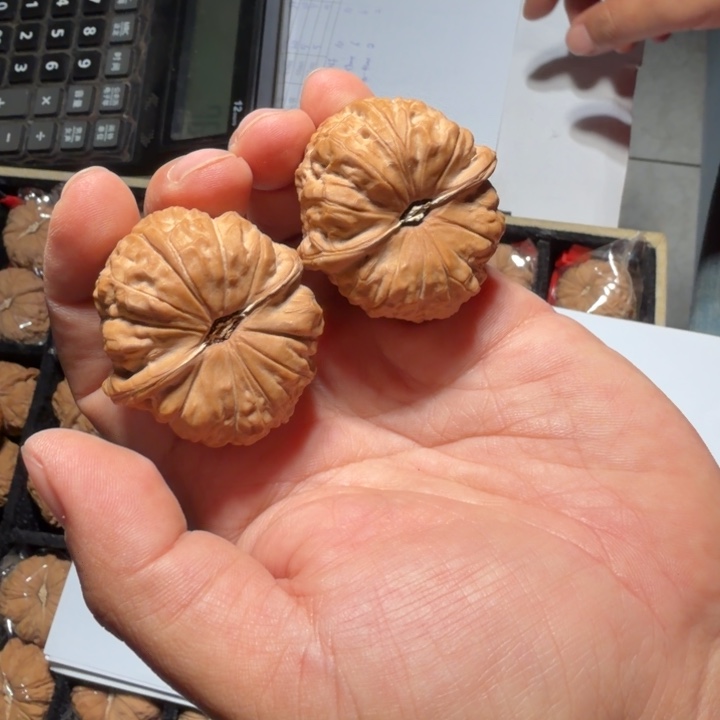 文玩核桃把件533号全品南瓜墩43mm