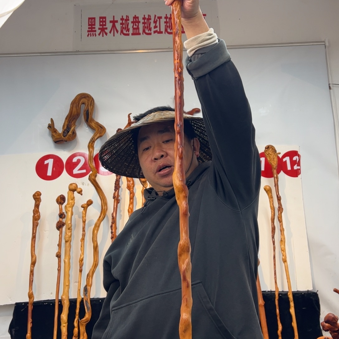 大***音其他黑果木黑果木286