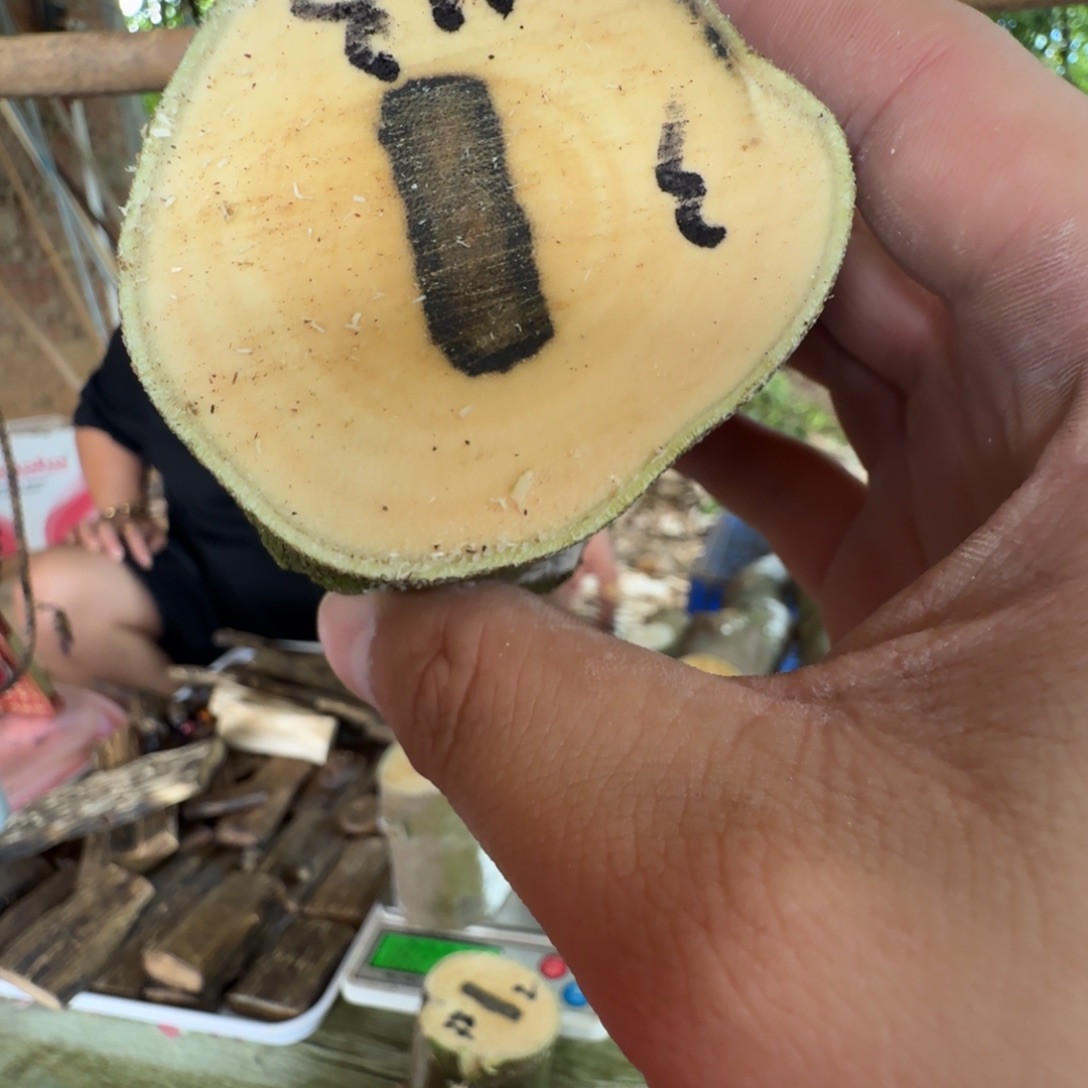 ，***线香奇楠沉香原木