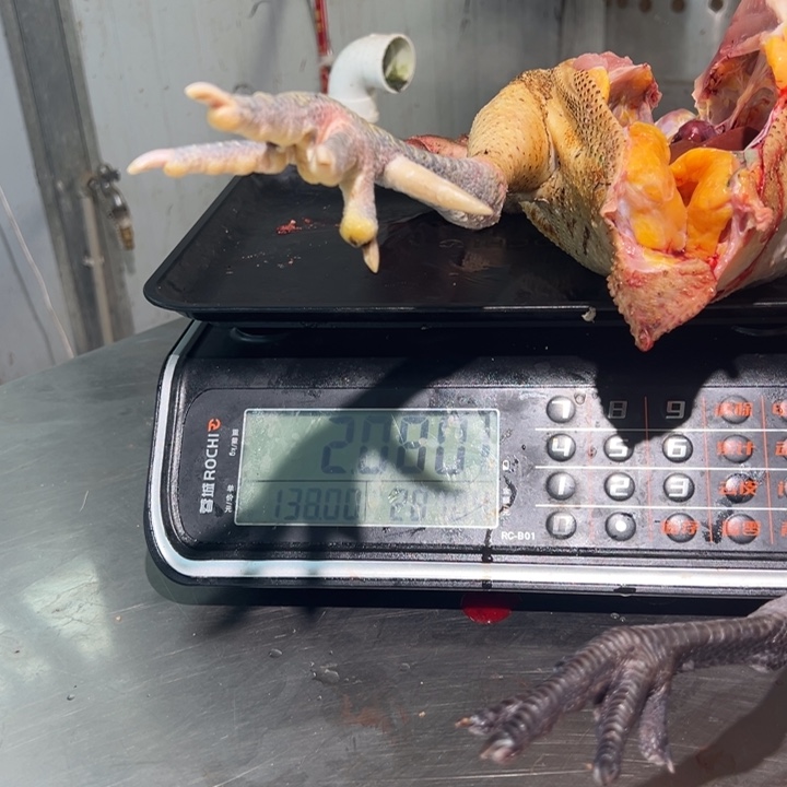 一号土鸡食用农产品中国大陆用****6