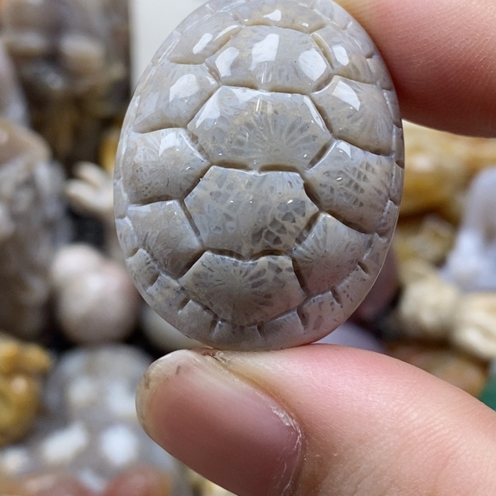 硅化珊瑚（珊瑚玉）未镶嵌颈饰