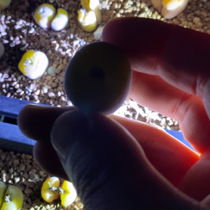 16257一个一个一个