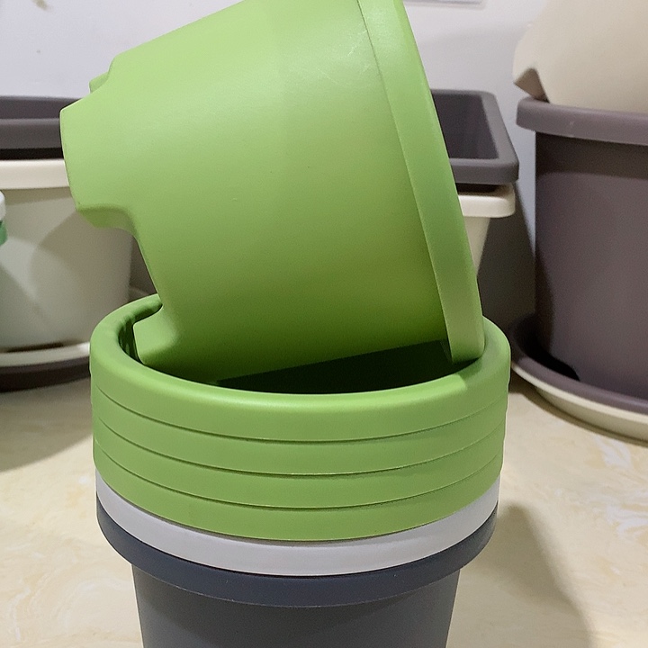 球根口17果绿5个无托