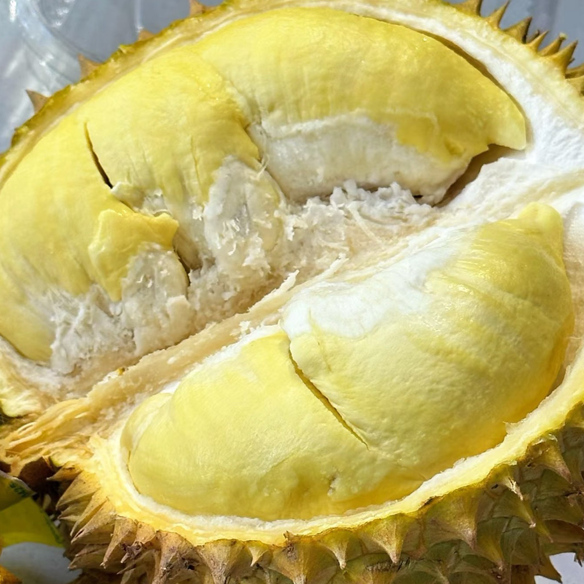 新鲜核小榴莲金枕邦美蜀产区500g整个带壳鲜果金枕越南