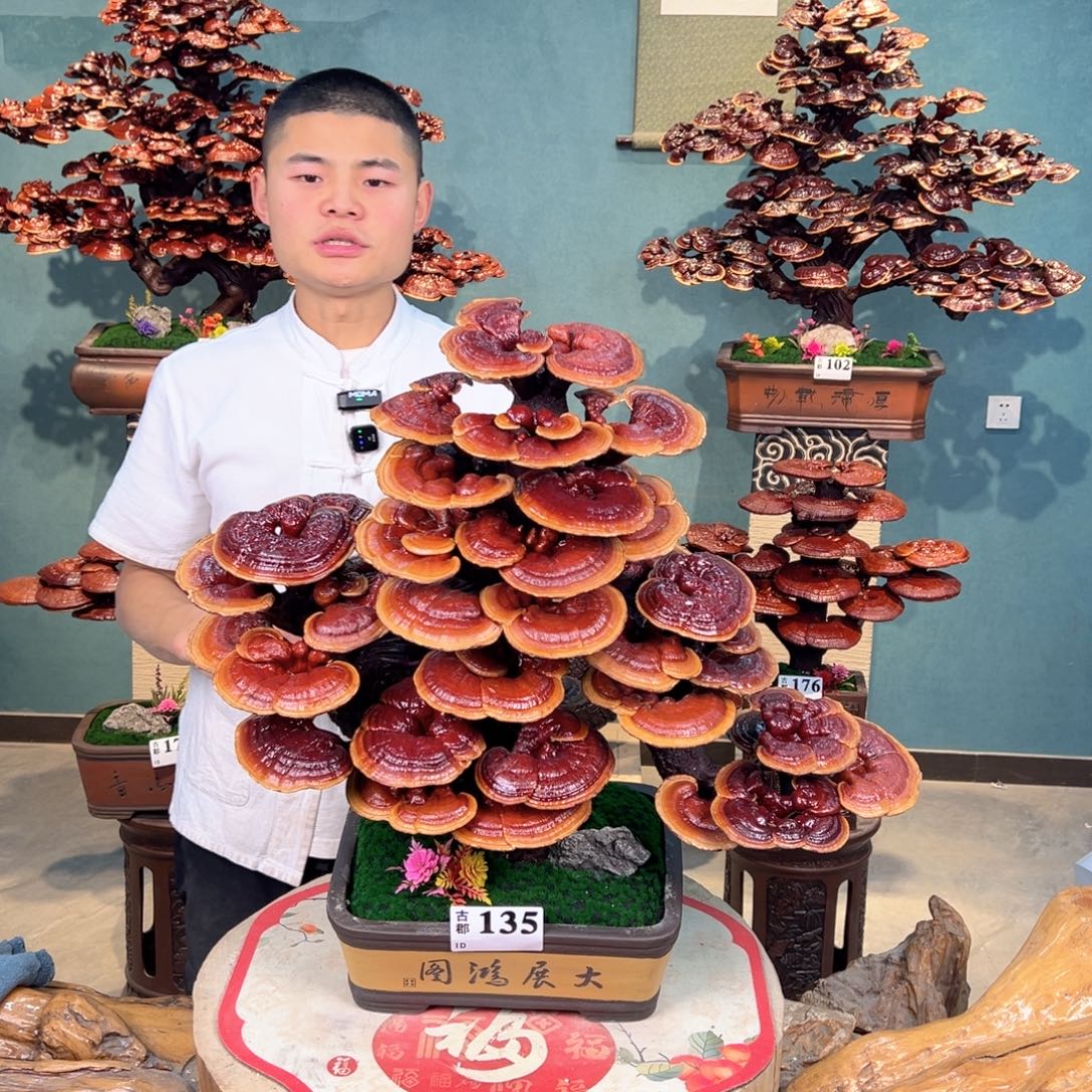 无花朵555888888888