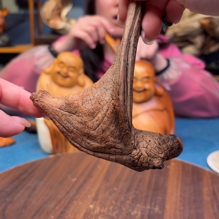柏木（崖柏）关注一下
