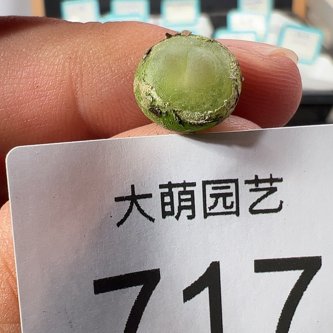 0000717 一物一拍……