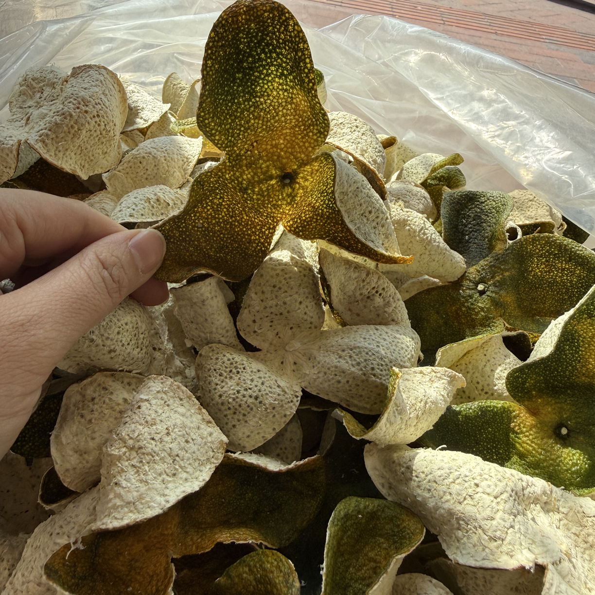 【2025新会三江九子沙二红皮】老树驳枝香气足 太阳生晒