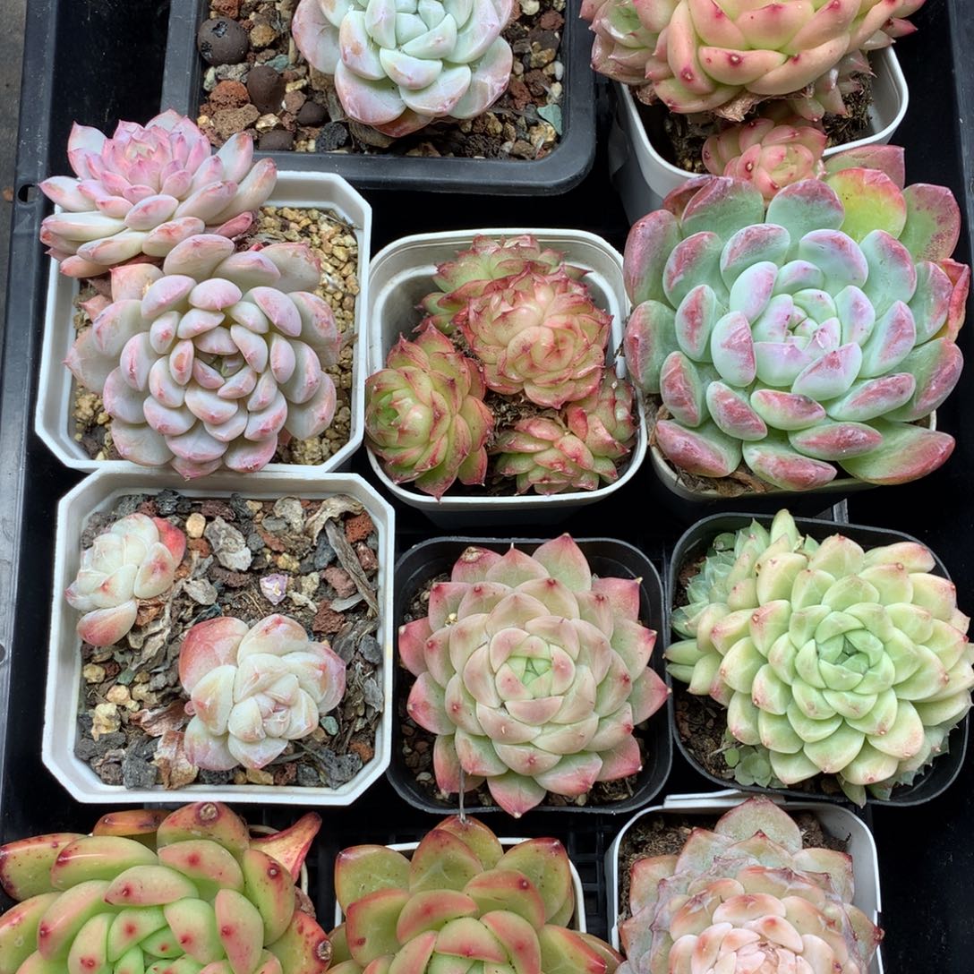 1205-124 套餐一组