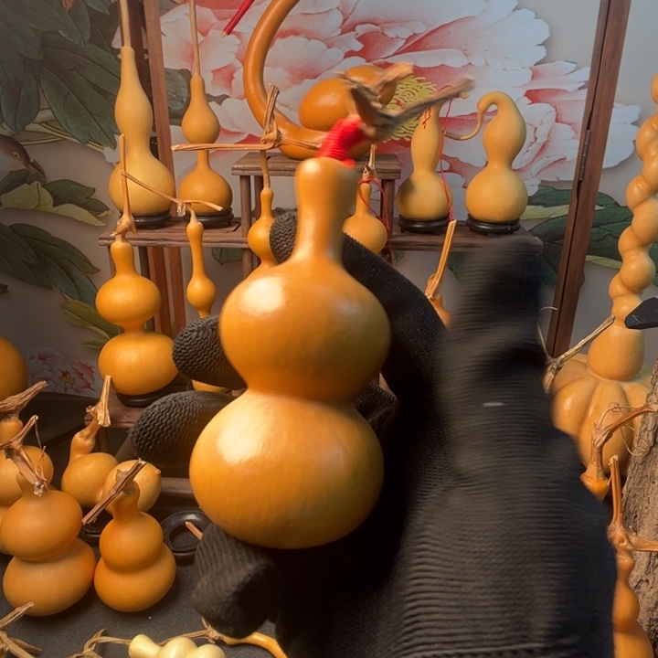 張***葫芦葫芦葫芦葫芦