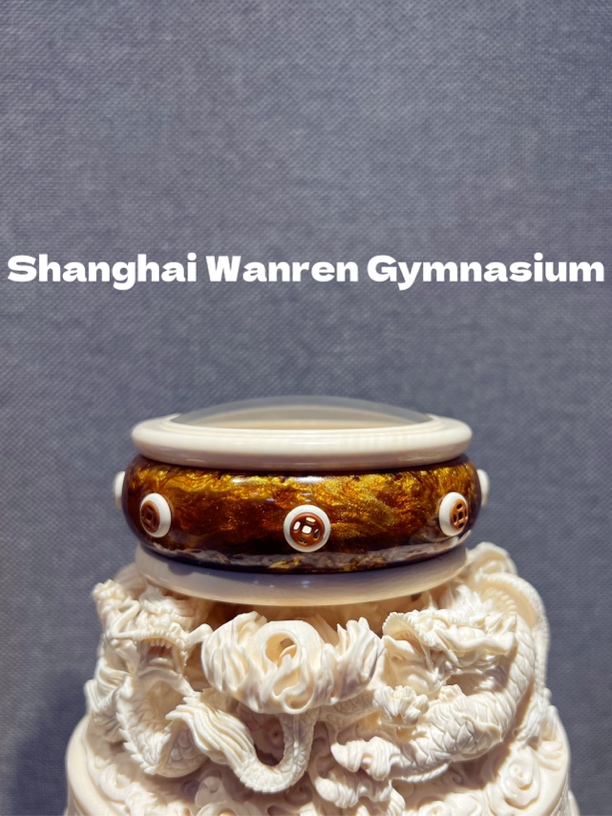 【老虎款】仿海柳万体模型盒子