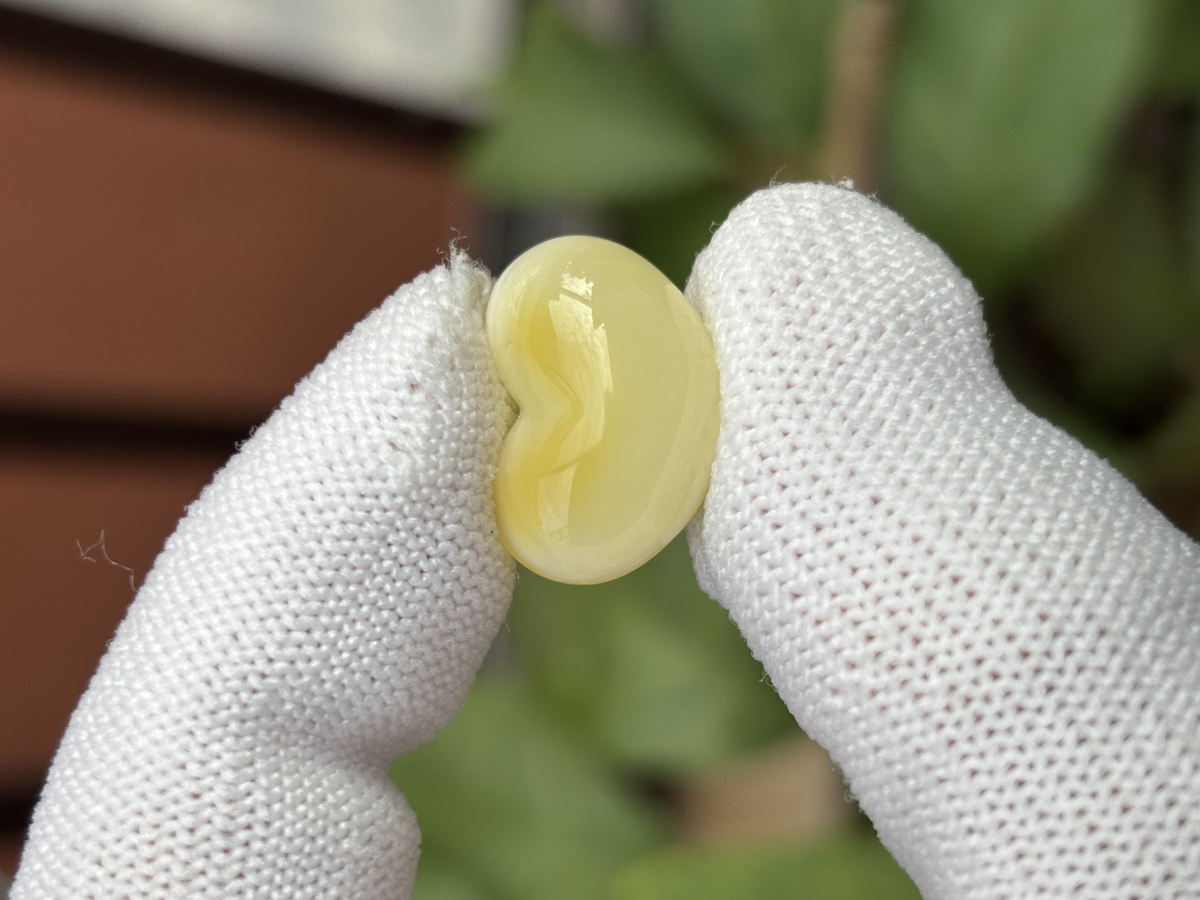 5051天然蜜蜡琥珀屁桃18.4x13.6x10.6mm