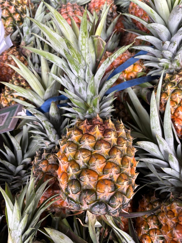 （老龚）云南边境大集现收菠萝