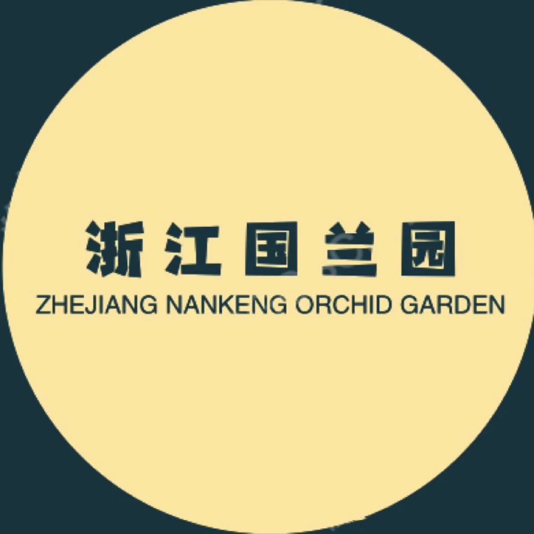 直播间（一物一拍）兰花苗