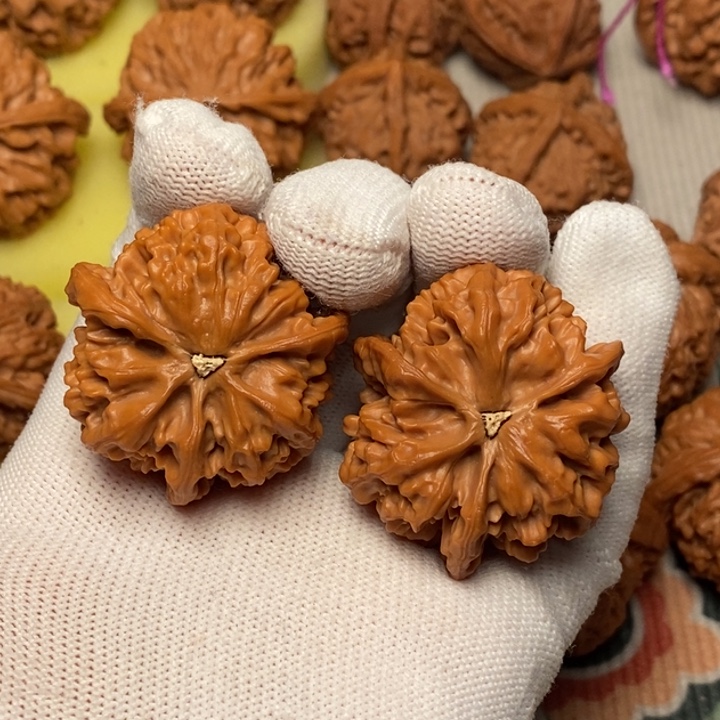 @***张木质三棱异型40全品