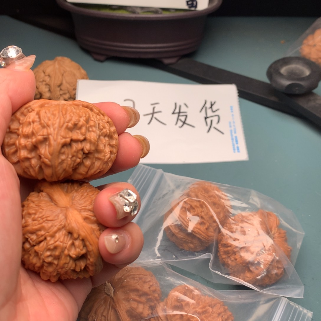 文玩核桃把件白狮子4445