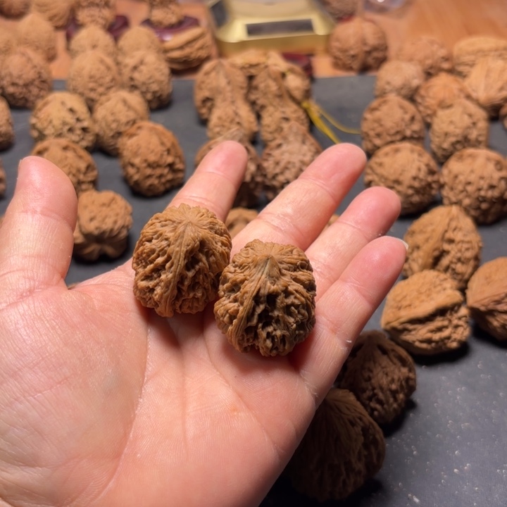 L***S大叶紫檀（黑酸枝木类）