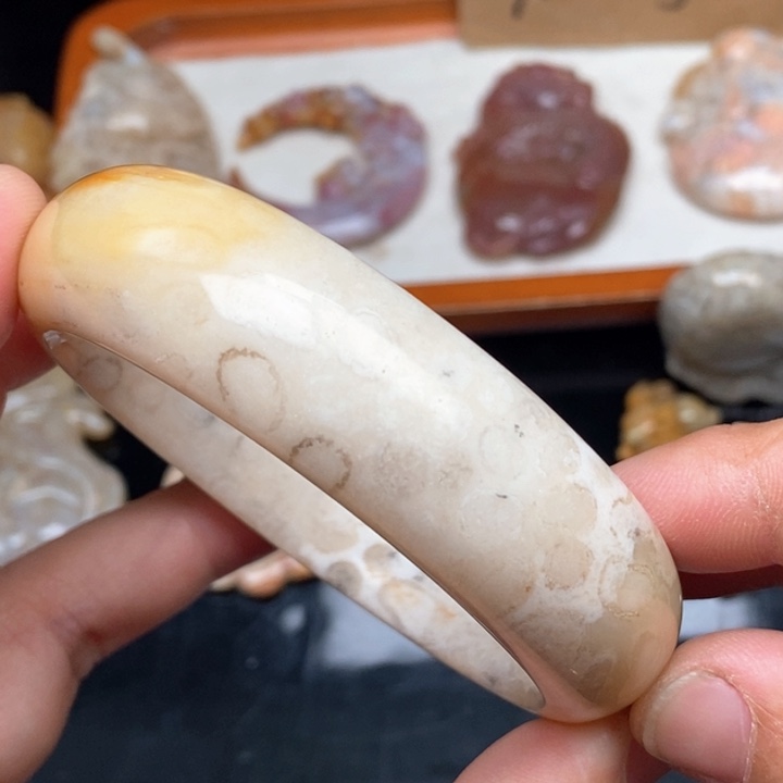 硅化珊瑚（珊瑚玉）颈饰未镶嵌58.7