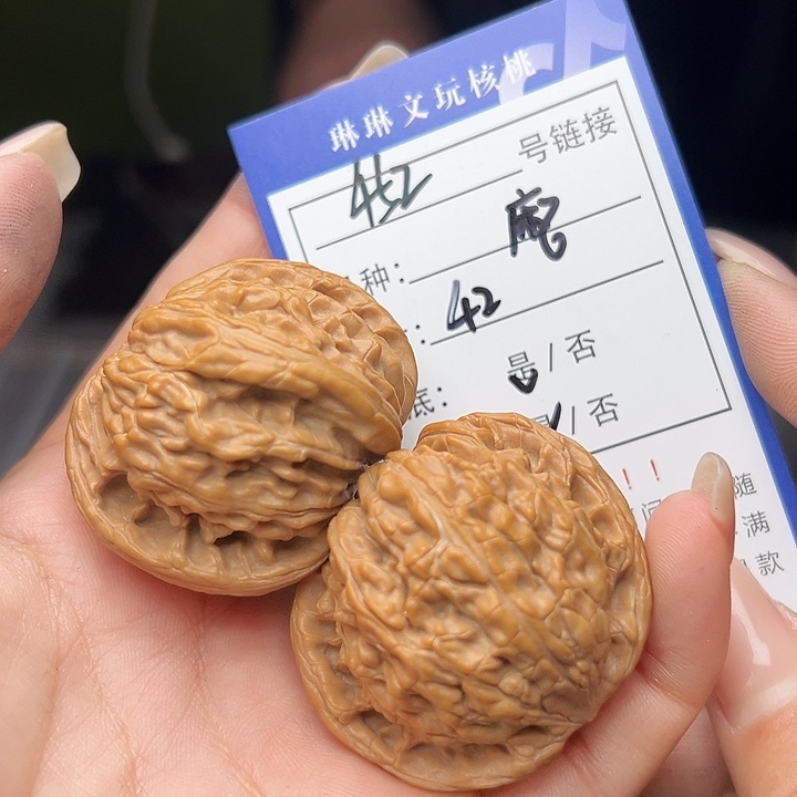 文玩核桃吊坠核桃树452