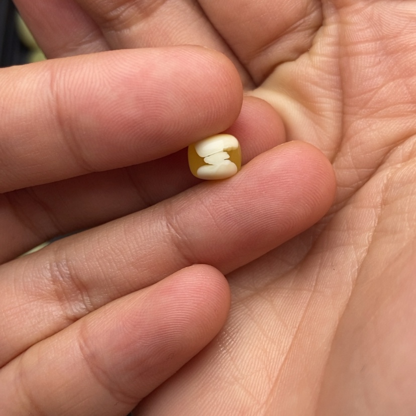 【闪购商品】琥珀珠宝奇石未镶嵌莲****！