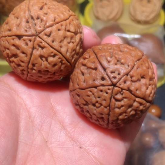 文玩核桃把件瑕疵练手五瓣金刚