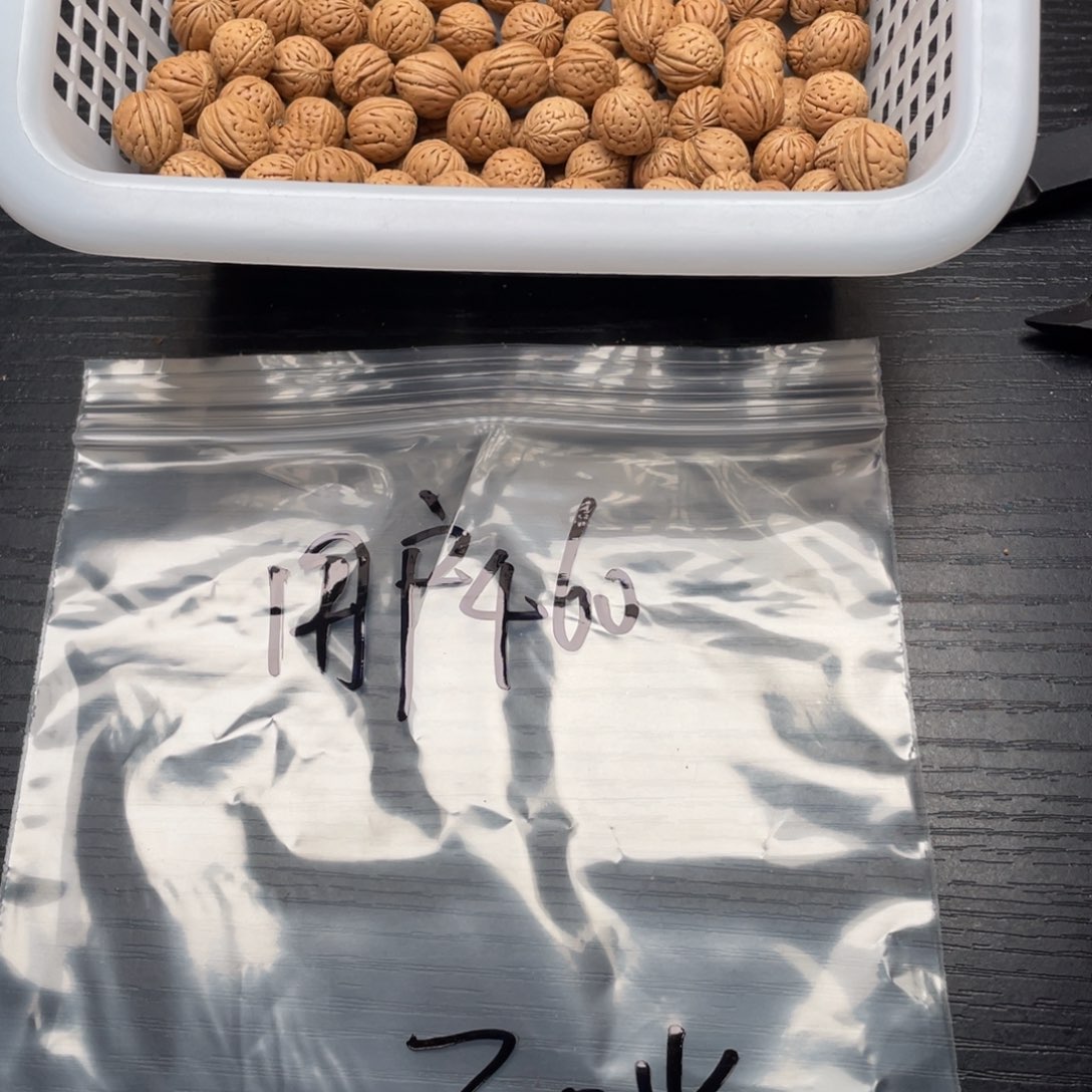 用***6手串/手链核桃小桃核散籽批发30