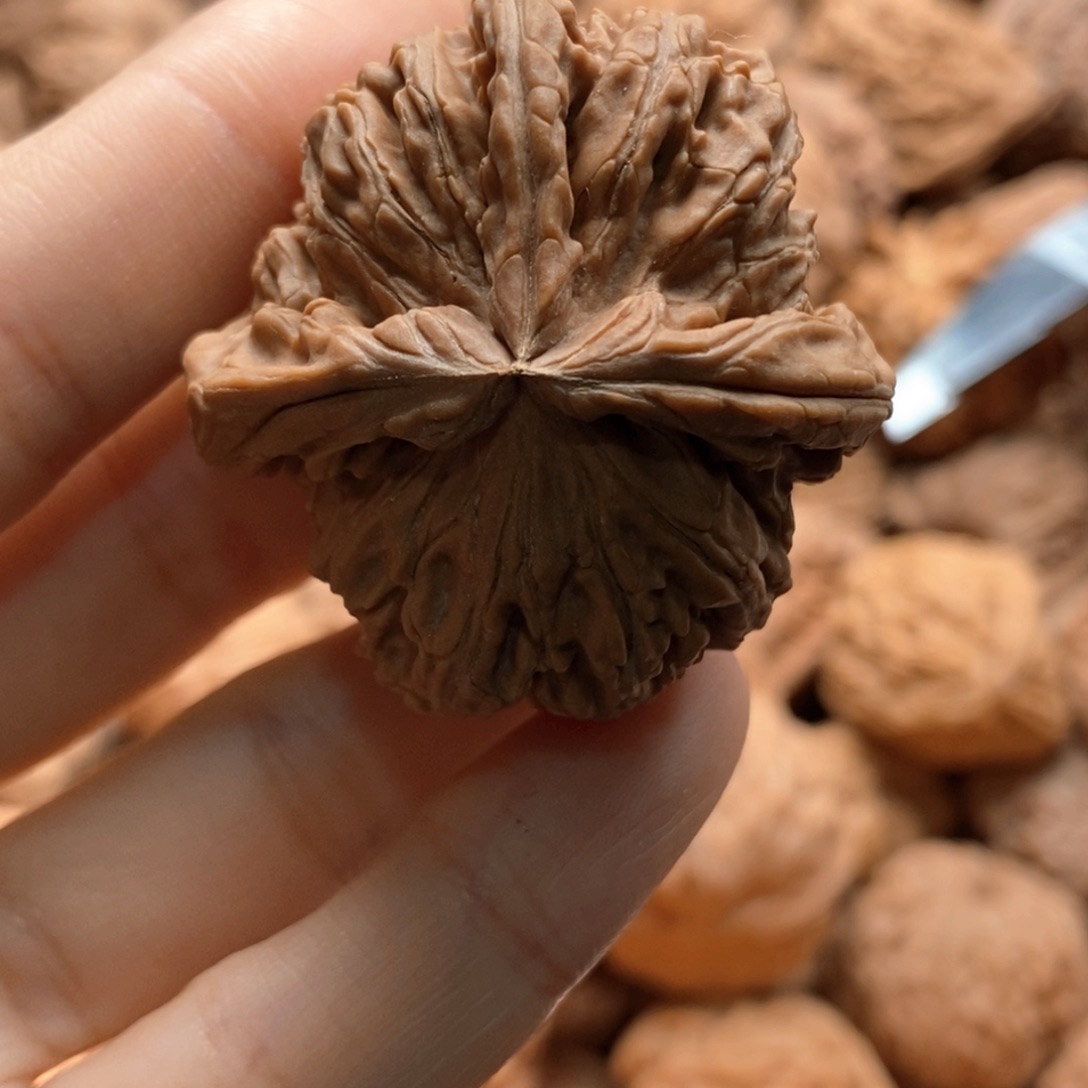 ****林核桃定制商品不退不换