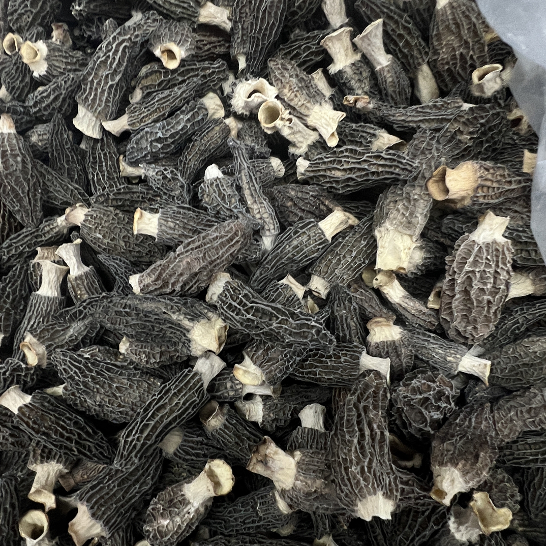 开播福利六妹羊肚菌1128