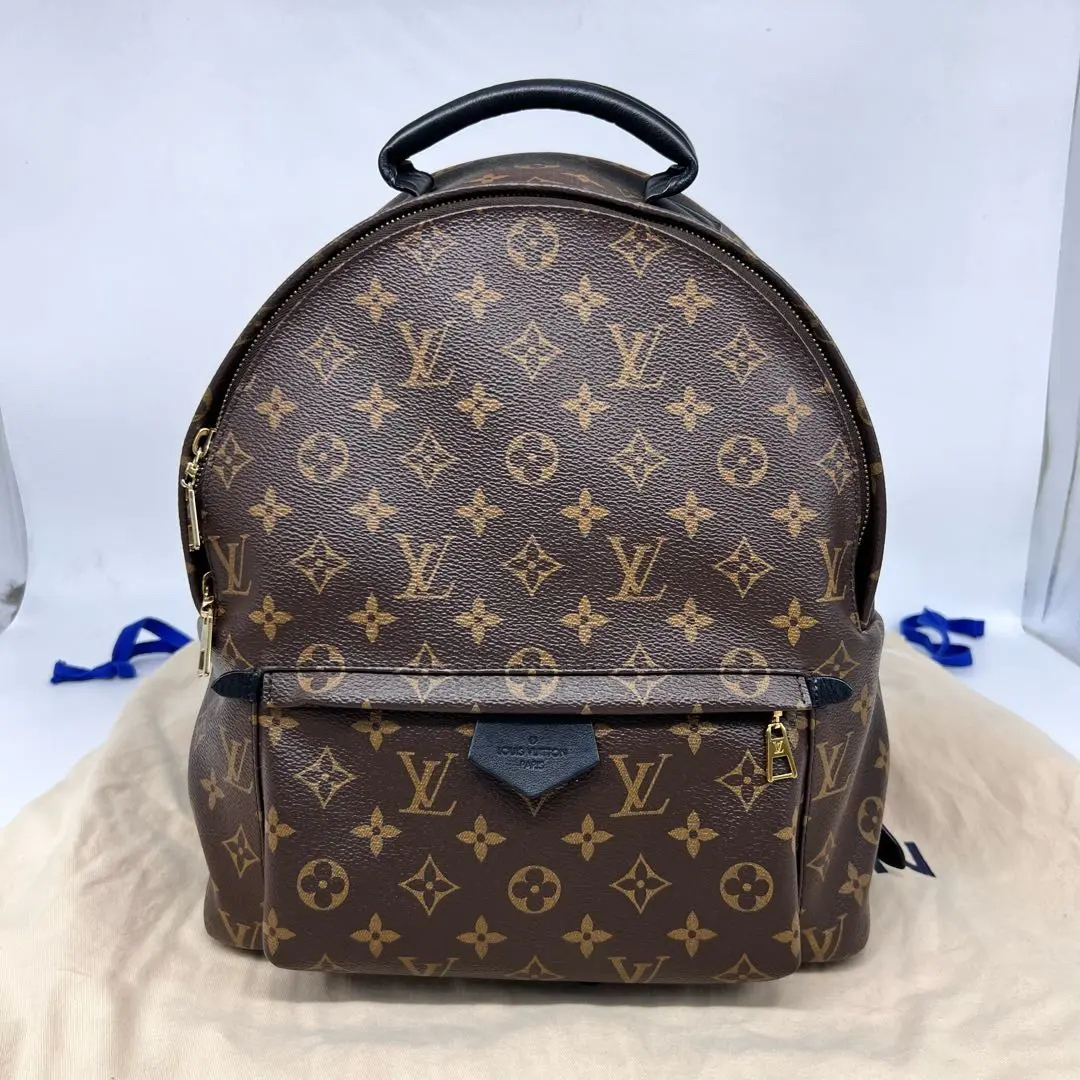 95新 LouisVuitton/路易威登 LV 双肩书包 19年 21918