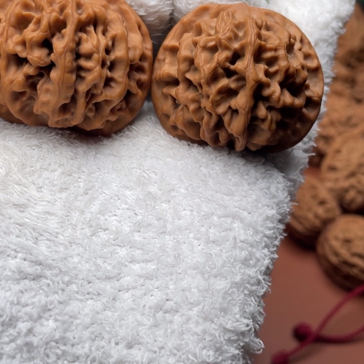 海***浪核桃秦核等地有分布和分布的