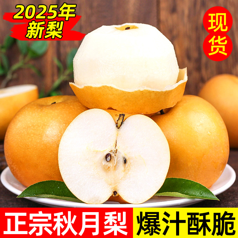 山东秋月梨汁水当季新鲜正宗中秋水果冰糖梨子自然树上熟整箱包邮