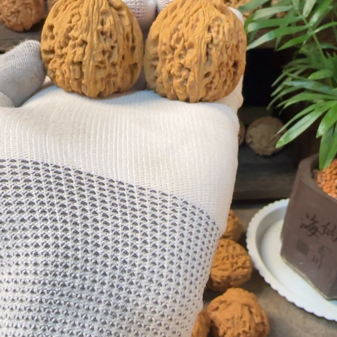 向***彦把件文玩核桃南将石38全品