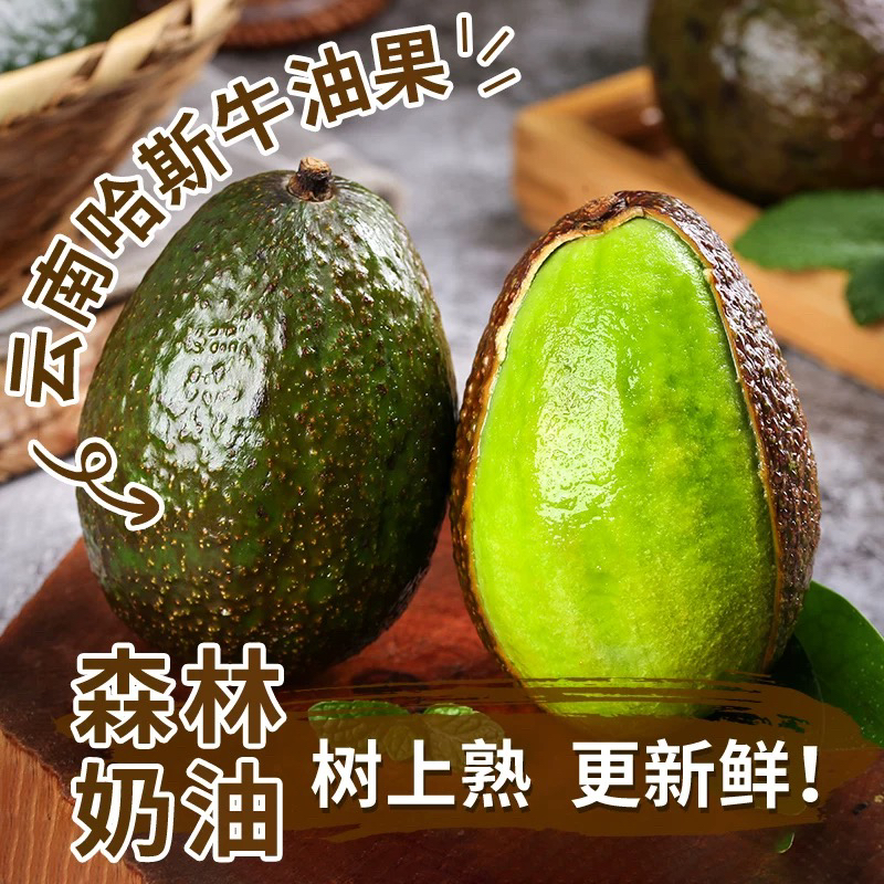 新鲜水果云南孟连哈斯牛油果1个软糯绵密孕妈妈宝宝辅食同城小时达