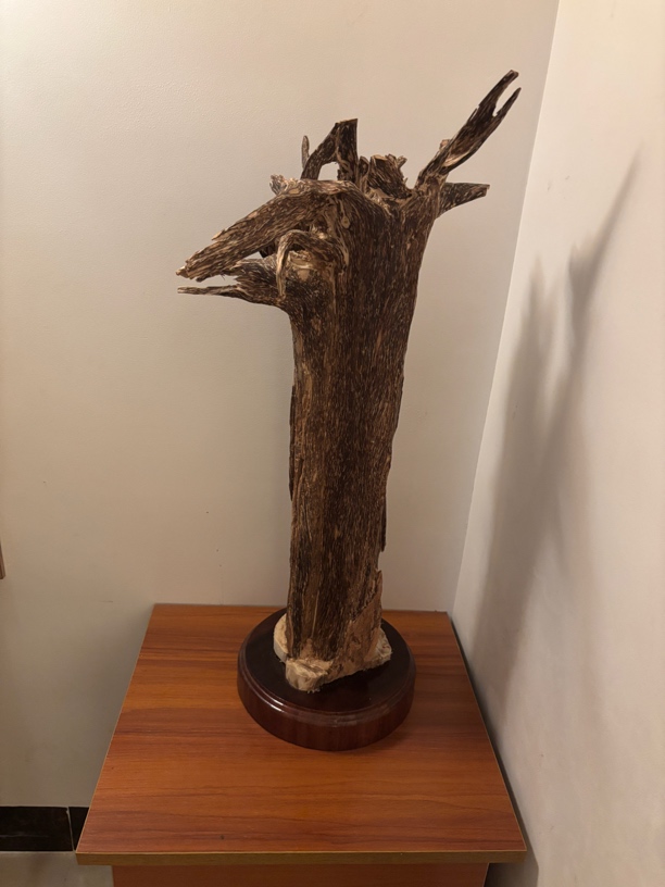 6手工陶瓷家居摆件实木雕刻风化根雕雕塑中式工艺品图片供参考