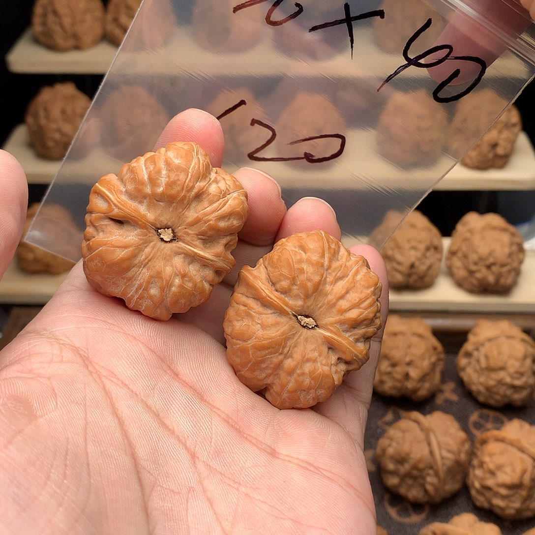 云***尘核桃蛤蟆头36尺40肚