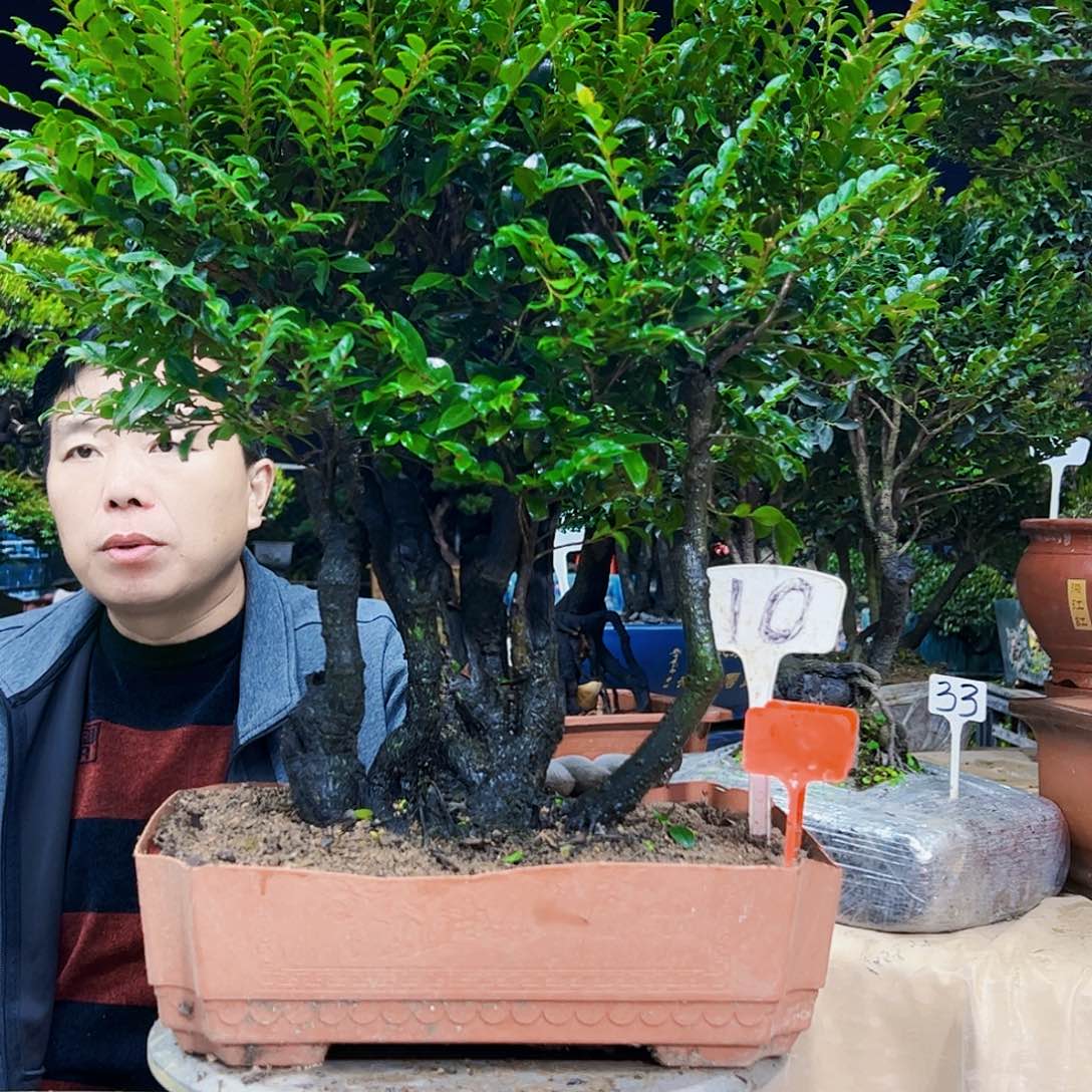 以实际为准易**师12345678