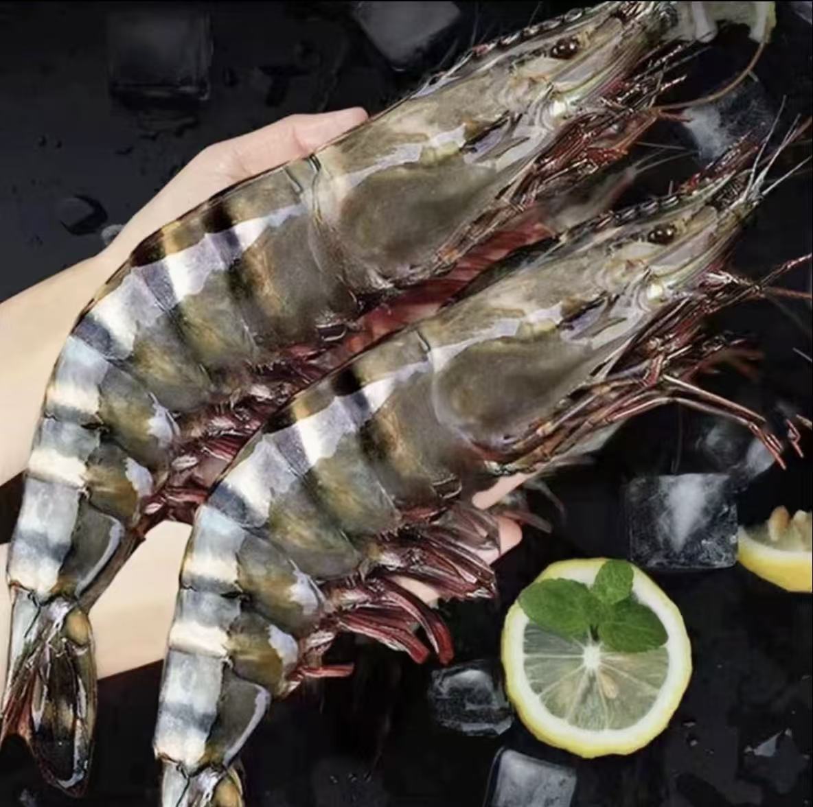 新鲜活冻黑虎虾 鲜冻老虎虾 1620超大规格 3斤/盒*1盒 25-30只/盒