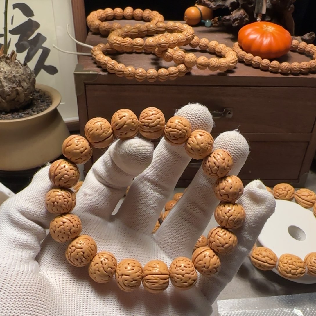 天***ㅤ1.4+盘锦宽脐肌肉“芬达”