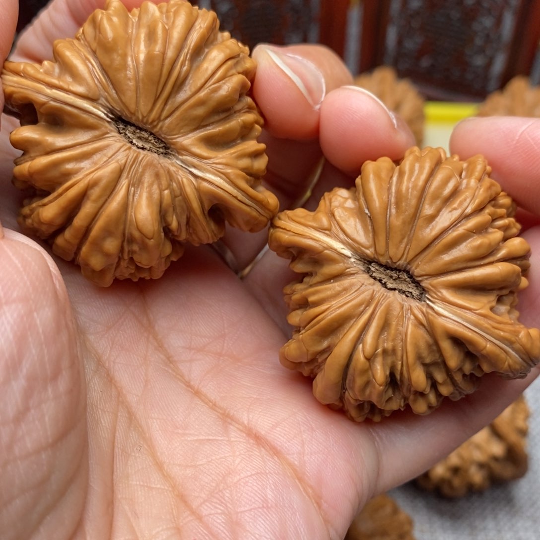 文玩核桃把件盛****6全品毕业汉高楼45尺