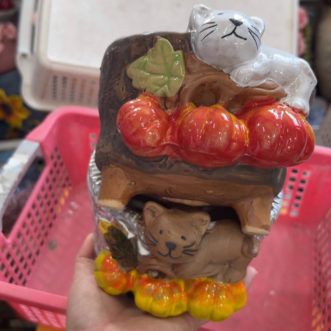 花盆满20元发货，请勿随意退款