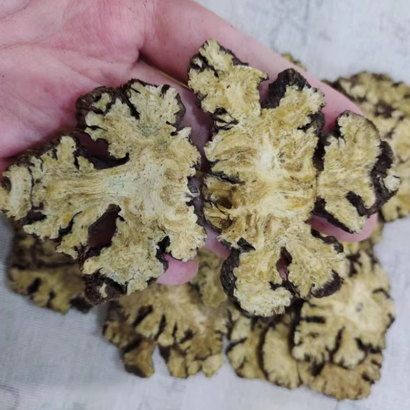 [开心滋补精选] 川芎 