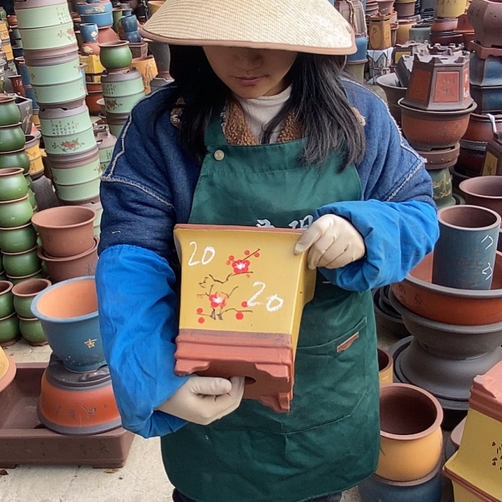 紫砂花盆盆栽花卉苗木种植