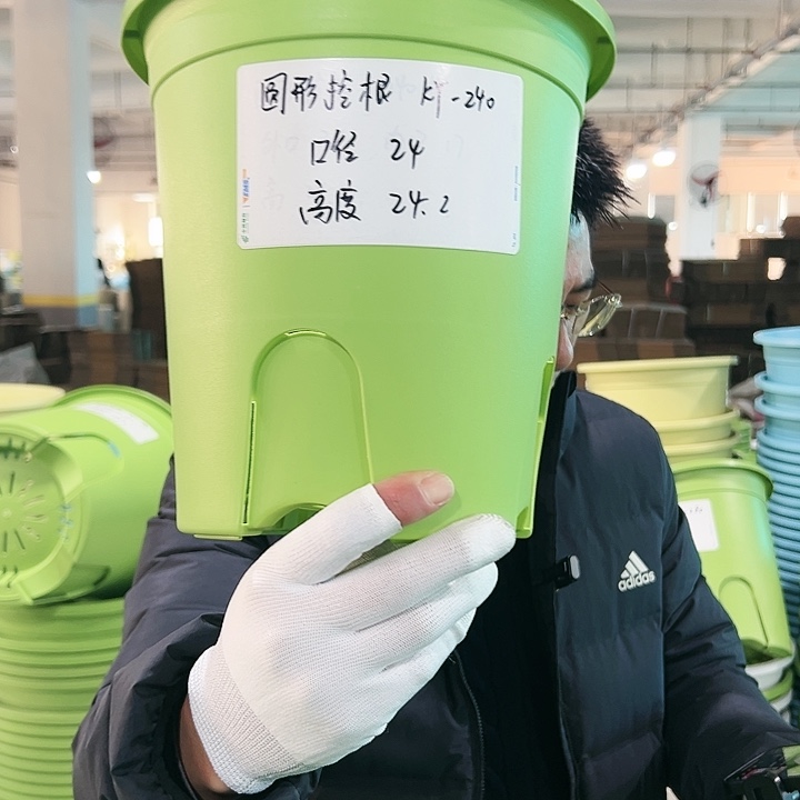 正品圆控口24高24果绿5只带托