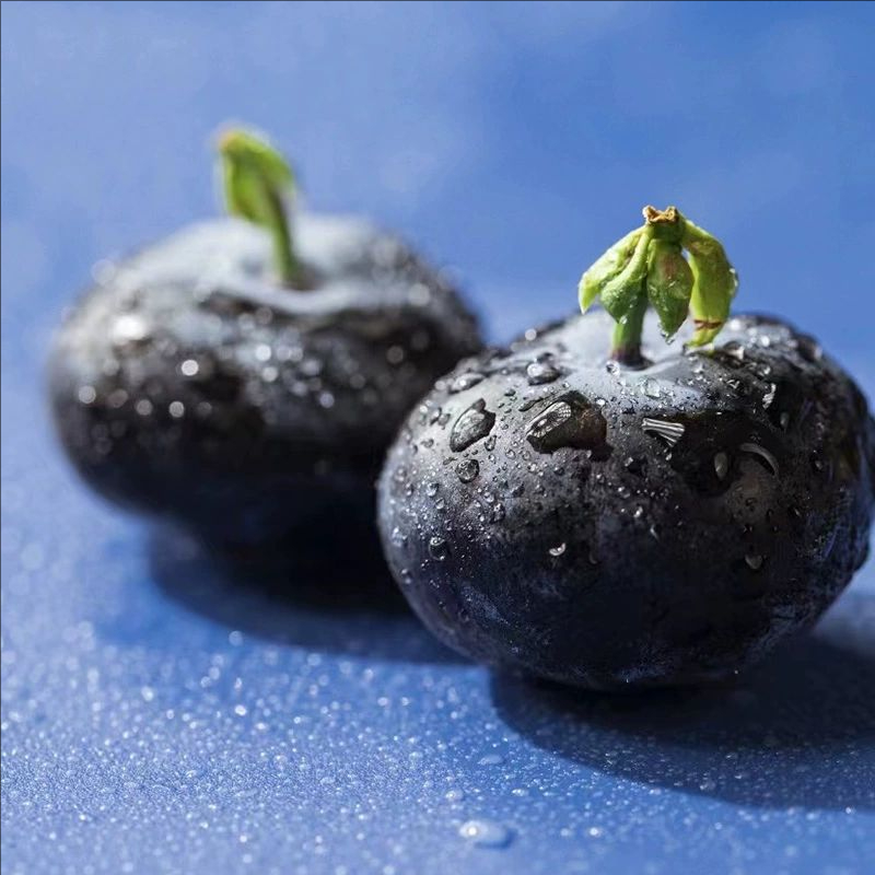 新鲜 蓝莓 0.8-0.9斤一桶云南省