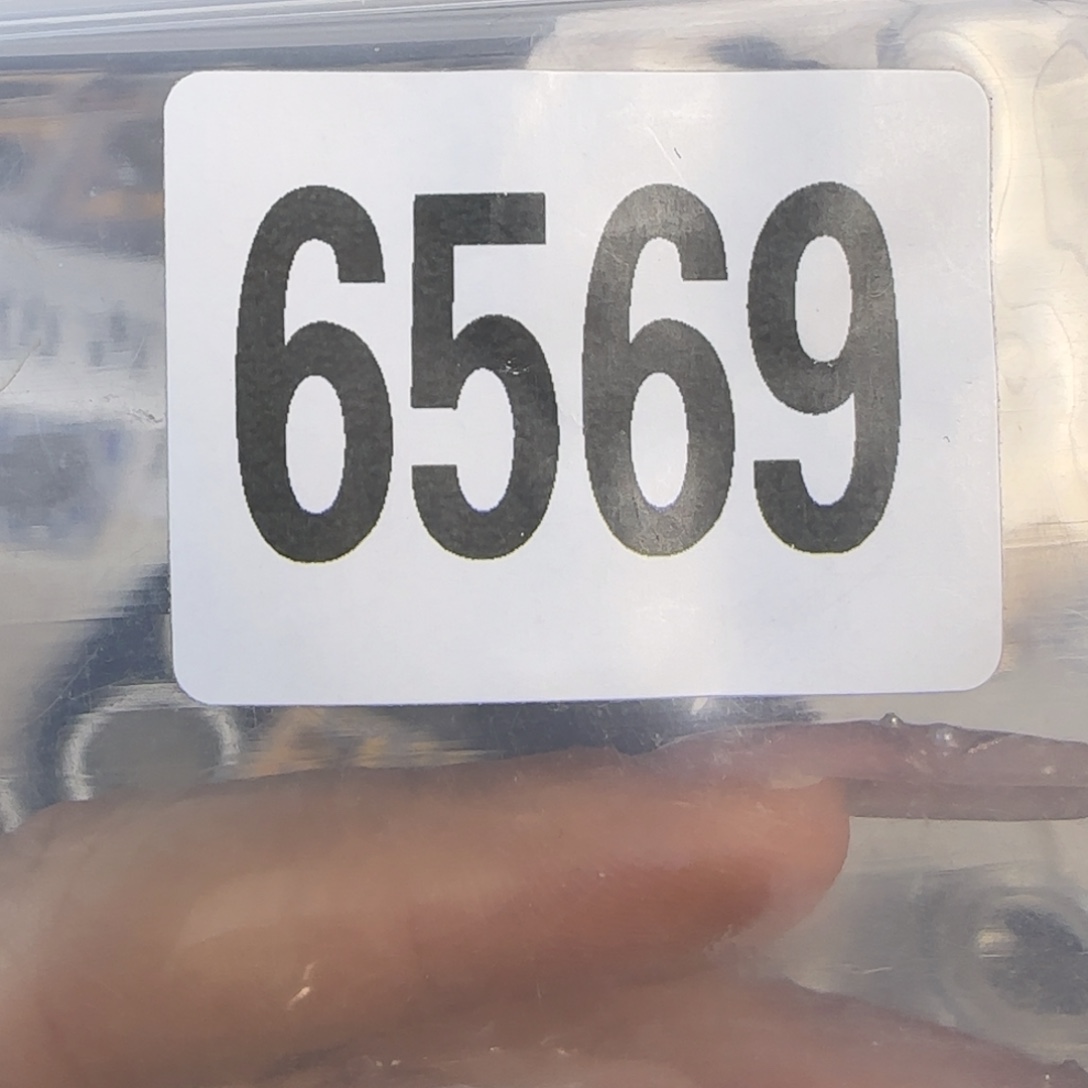 新号开播福利多多