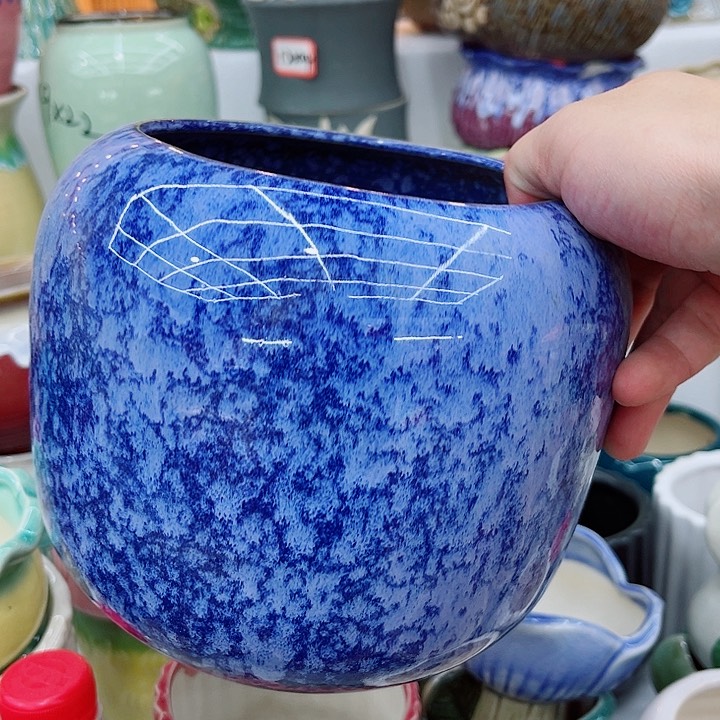 福利盆，9.99包邮，有空