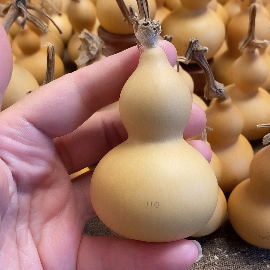 文玩葫芦 完美主义者 慎拍110