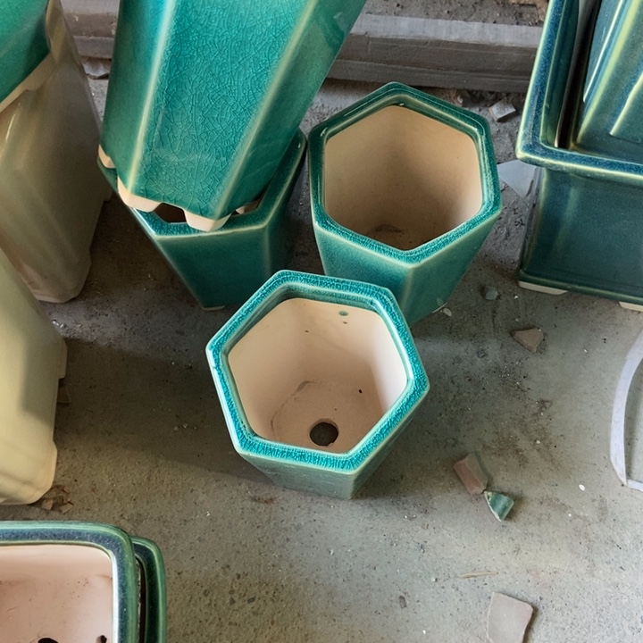 花盆花盆花盆花盆