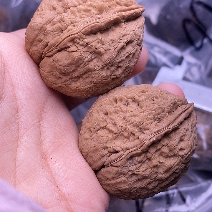 文玩核桃把件   17