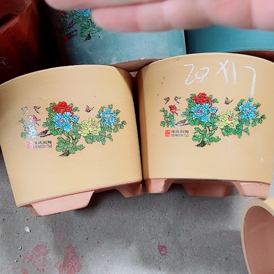 紫砂紫砂紫砂紫砂紫砂中